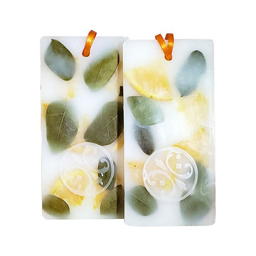 Green Orange & Oak Moss Scented Wax Tablets